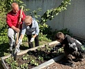 А у нас появилась клубничная грядка!