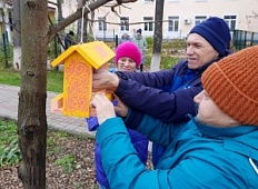 Позаботились о птицах зимой