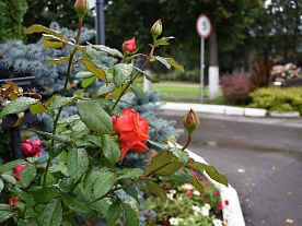 Территория Территория