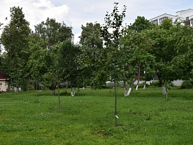 Территория Территория