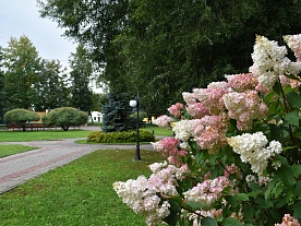 Территория Территория