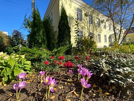 Территория Территория